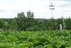 Превью Продаю участок у Озернинского водохранилища Руза - 1