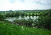 Превью Домик в деревне Воронеж - 2