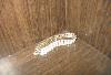 Превью браслет с камешками б/у Челябинск - 1