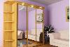 Превью Шкафы-купе - Эконом Москва - 2