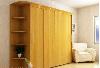 Превью Шкафы-купе - Эконом Москва - 3