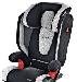 Новое recaro Monza Seatfix Black/Silver  15 - 36 превью 266870.