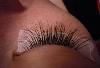 Превью Наращивание ресниц (выезд мастера на дом) Москва - 1