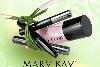 Mary Kay превью 269080.