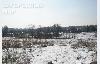 Превью Ленинградское шоссе, 30 км  д. Подолино Москва - 2