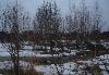 Превью Можайское ш, 37 км. Скоротово. Участок Москва - 1