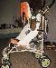 Коляска-трость превью 283481.