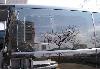 Превью Hyundai H-1 Starex, 2009 Москва - 2