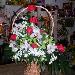 Комнатные,садовые растения,букеты,композиции превью 290965.