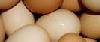 Яйцо куриное мелким и крупным оптом превью 300159.