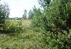 Превью Земельный участок  в Мещере Рязань - 2