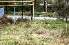 Превью Шикарные участки в Сочи, срочно Сочи - 1
