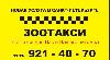 Зоотакси превью 318742.