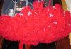 Превью Шикарная пышная юбочка Pettiskirts Москва - 1