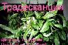 Превью Распродажа Москва - 1