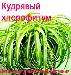 Превью Распродажа Москва - 3