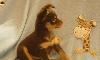 Превью Щенки д/ш той-терьера коричнево-подпалого окраса Москва - 1
