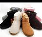 UGG Australia Mini, Short, Cardy, тапки (Угги) превью 343818.