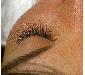 Наращивание  ресниц качественносвао,500 руб превью 348540.