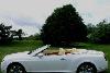 Bentley Continental, 2008 превью 351425.