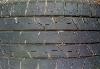 Резина Bridgestone B390 195/65 R15 превью 354325.