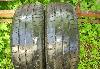 Continental Contact CP 195/60 R15 (2шт) превью 354433.