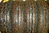 "Pirelli P400 Aquamile" 185/65 R15 превью 356023.