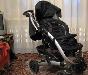Превью Коляска Graco Москва - 1