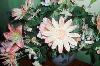 Превью Большой букет - искусственные цветы Москва - 2