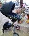 Коляска stokke xplory 2В1 новая коллкекция 2010 превью 362790.