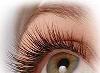 Наращивание ресниц качественно превью 365110.
