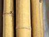 Бамбук стволы превью 392110.