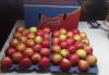 Превью Предлагаем  прямые поставки   яблок Москва - 3