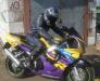 HondaCBR900RR превью 399756.