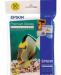 EPSON  Premium Glossy Photo Paper (50 листов) превью 417325.
