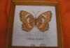 Превью Потрясающая вышивка  крестом Бабочки Москва - 1