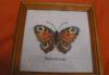 Превью Потрясающая вышивка  крестом Бабочки Москва - 2