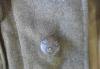 Превью Китель Калевала - 1