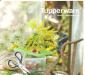 Превью Кухонные ножницы Tupperware Москва - 2