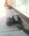 Продам скутер suzuki address 110 превью 443559.