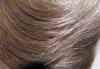 Волосы hair talk превью 448035.