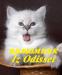 Невские маскарадные котята от чемпиона мира превью 449253.