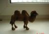 Превью Новые звери фирмы "schleich" Germany Москва - 4