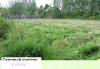 Превью 6 соток.125км.Дмитровское.ш.Большая река.Лес Москва - 1