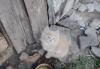 Котенок превью 452375.