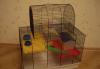 Превью Клетка для грызунов 2шт Санкт-Петербург - 2