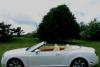 Bentley Continental, 2008 превью 460267.