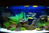 Превью Дизайн и обслуживание аквариумов Москва - 2