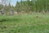 Превью Продается земельный участок Кольчугино - 2