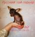 Превью Той - отличные крошки Москва - 3